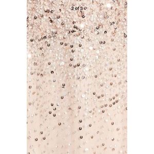 Adrianna Papell Dresses - New Adrianna Papell beaded illusion gown blush 14P Adrianna Papell Dresses - New Adrianna Papell beaded illusion gown blush 14P